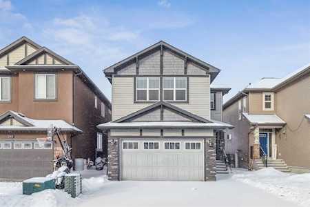 352 Skyview Shores Manor NE Calgary, AB T3N0E4