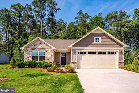 Milton - The Vines of Sandhill Homes for Sale