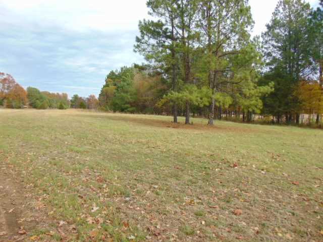 2961 S Houston Levee Rd Collierville, TN 38017