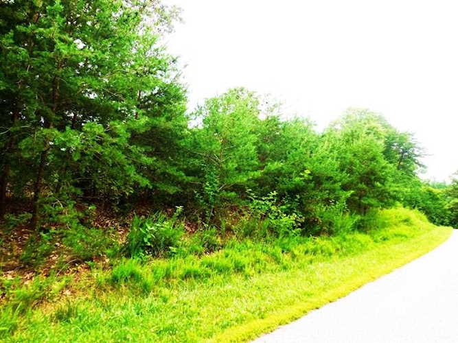 Lot 4 Waterford Moneta, VA 24121