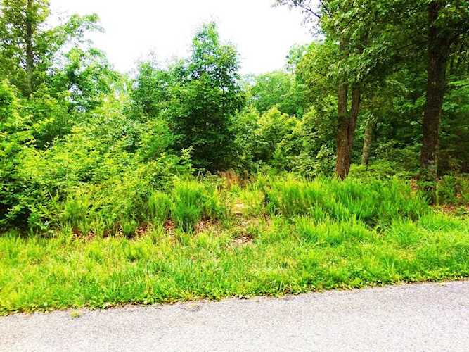 Lot 5 Waterford Moneta, VA 24121
