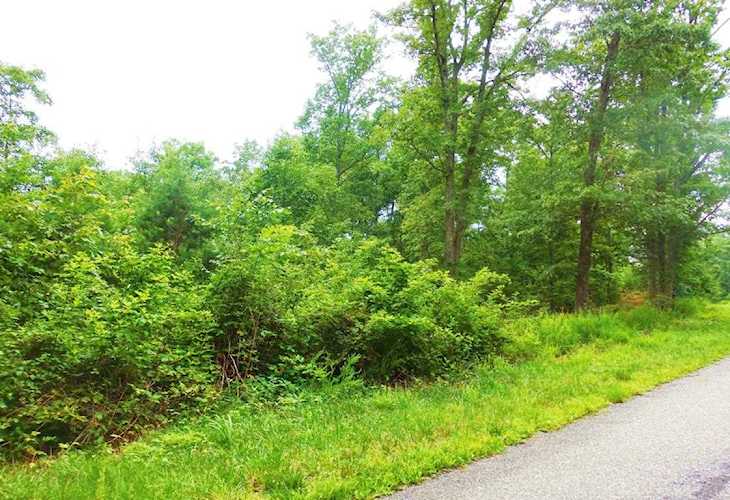 Lot 6 Waterford Moneta, VA 24121