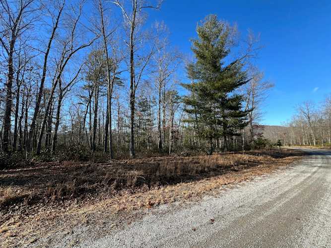 Lot 52 Black Diamond New Castle VA 24127 - MLS#818733 | RoanokeRealEstate.com Photo 1