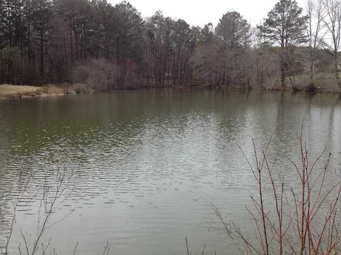2255 Mountain Rd Milton, GA 30004
