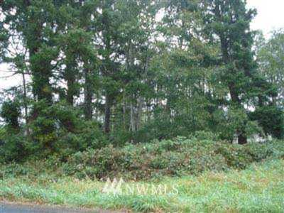 0 Birch Place Ocean Park, WA 98640