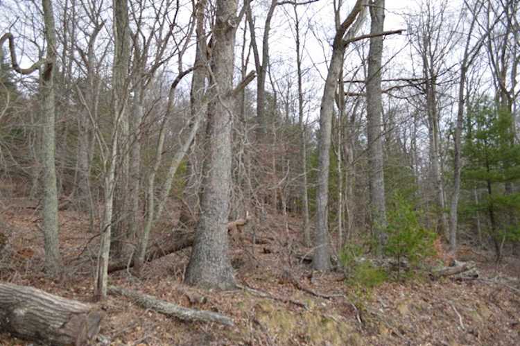 0 Little Mountain New Castle VA 24127 - MLS#823844 | RoanokeRealEstate.com Photo 1