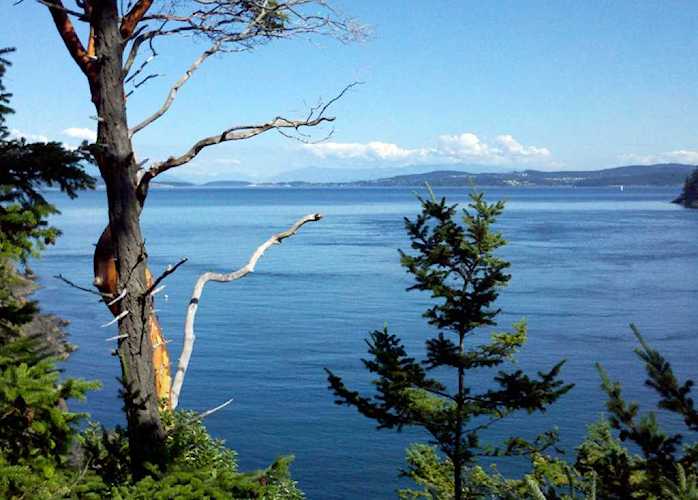 0 Fauntleroy Point Dr - Lot 1 Decatur Island, WA 98221