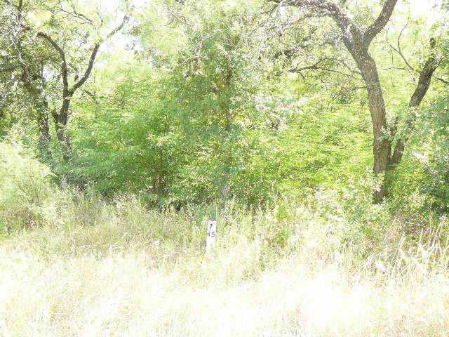 103 SLEEPY MEADOW Drive Runaway Bay, TX 76426