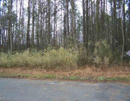7.1 AC Maple Ln Windsor VA 23487 | MLS# 0950733 - TREG.com Photo 1