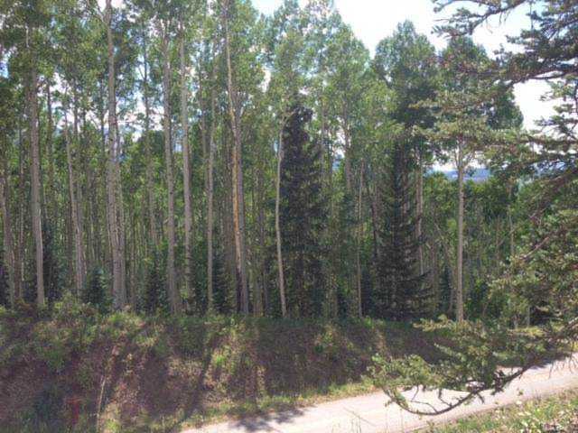 TBD Elk Run Rd #10 Telluride, COLORADO 81435 | MLS 31543 Photo 1
