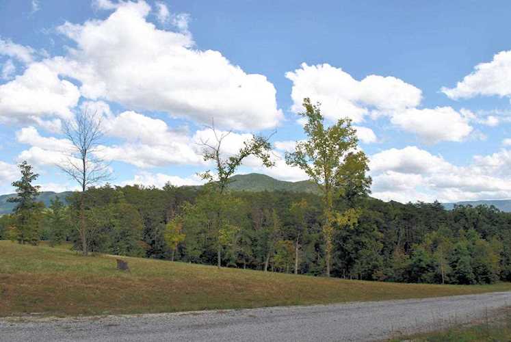 3720 Knob Creek Elliston, VA 24087