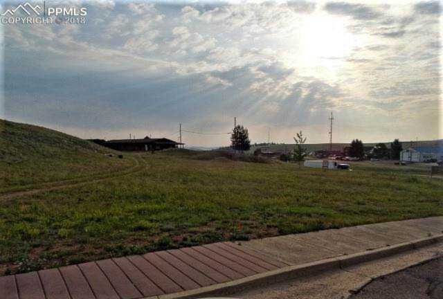 14 N Hybrook Road Divide, CO 80814