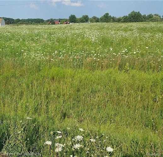 0 Capac Rd Mussey Twp, MI 48014