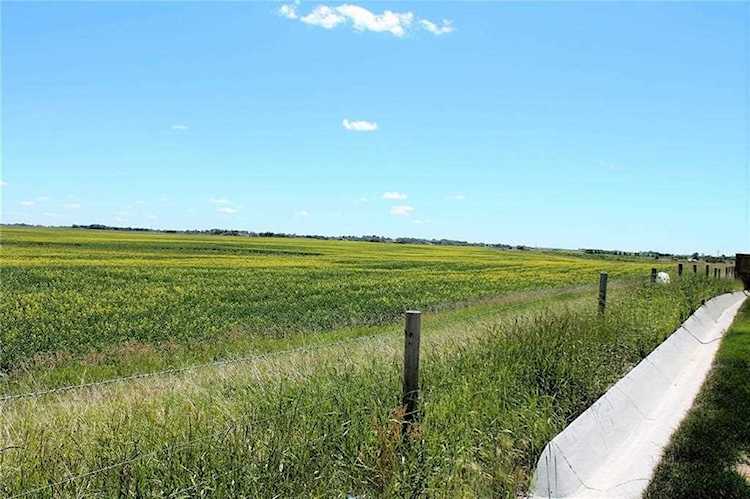 240249 Range Road 281 Chestermere, AB T1X 0M5