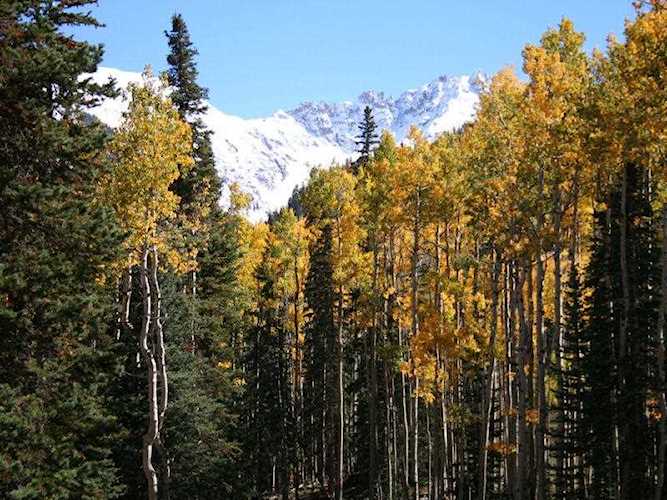 TBD Cortina Dr #3-7, 10 Mountain Village, COLORADO 81435 | MLS 36486 Photo 1