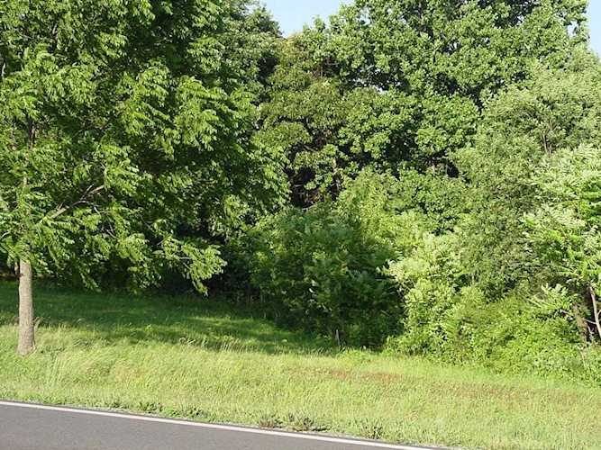 Lot 3 White House Moneta VA 24121 - MLS#773175 | RoanokeRealEstate.com Photo 1