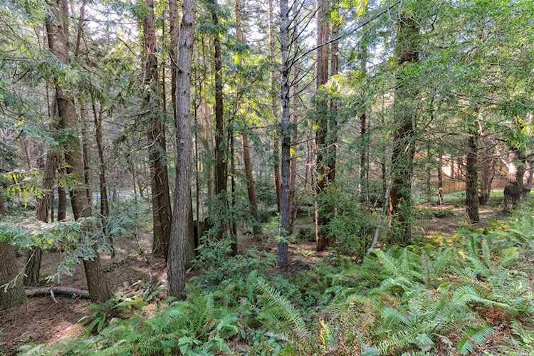 35205 Fly Cloud Road The Sea Ranch, CA 95497