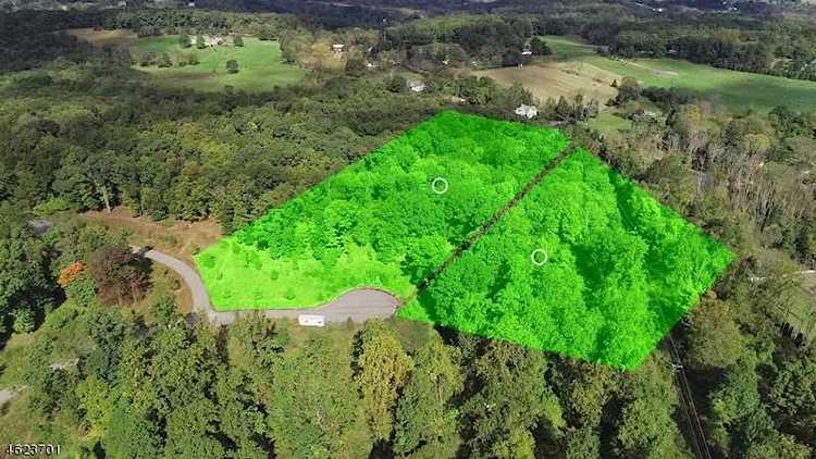 8 Preserve Lane Bernardsville Boro, NJ 07924