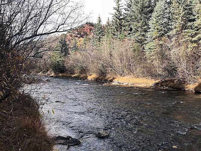 TBD River Trail #Lot 42R Placerville, COLORADO 81430