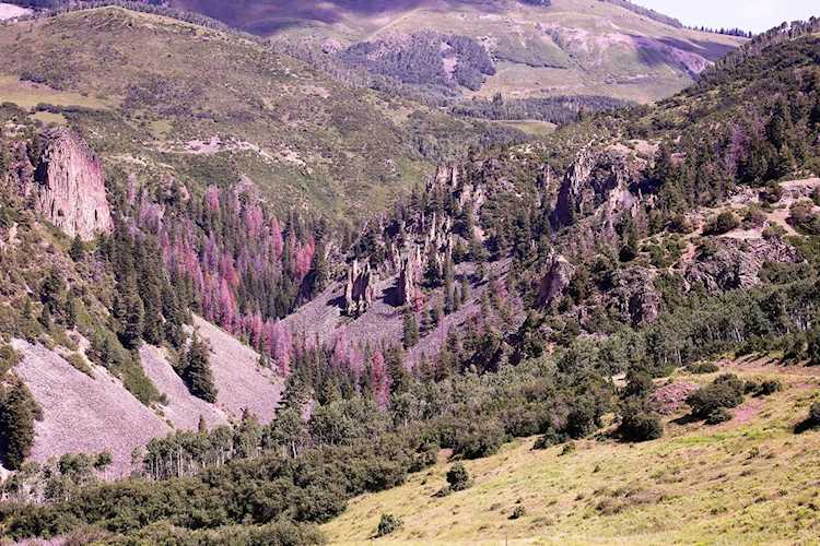 297 Gray Head Ln #15C-1 Telluride, COLORADO 81435