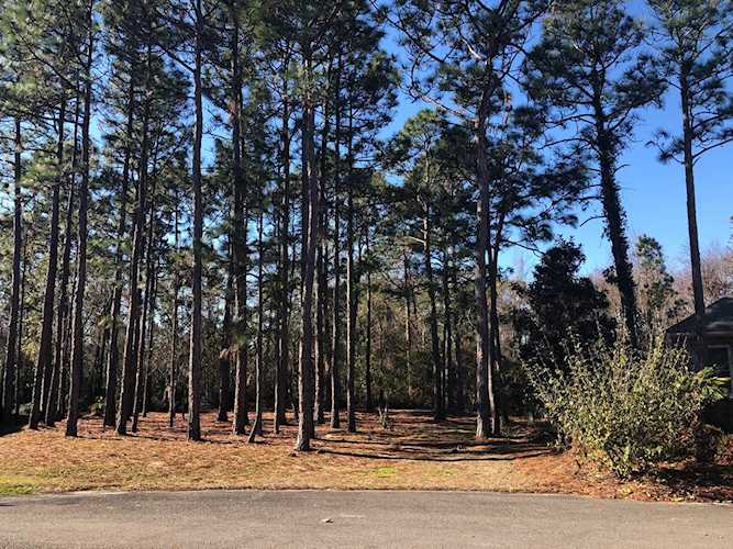 4210 Shearwater Way Southport, NC 28461 | MLS 100145762 Photo 1