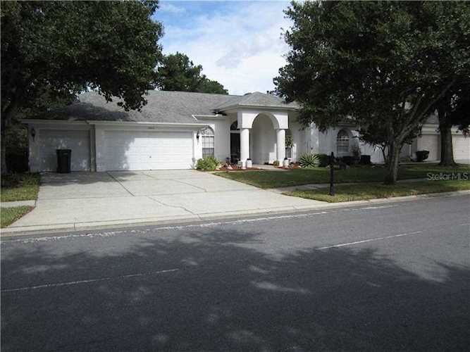 18415 Bittern Avenue Lutz, FL 33558