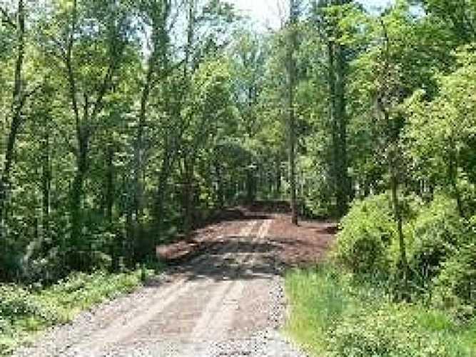 97 Hartpence Rd Alexandria Twp., NJ 08848