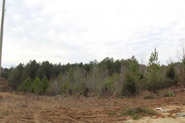 Lot 11 12 County Road 775 Riceville TN 37370 in | MLS 1069373 - GreatLifeRE.com Photo 1