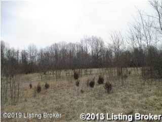 2472 Mount Pleasant Rd Bedford, KY 40006 | MLS 1524464 Photo 1