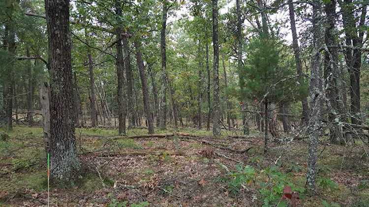 1581 Kingswood Tr Rome, WI 54457 | MLS 1849738 Photo 1