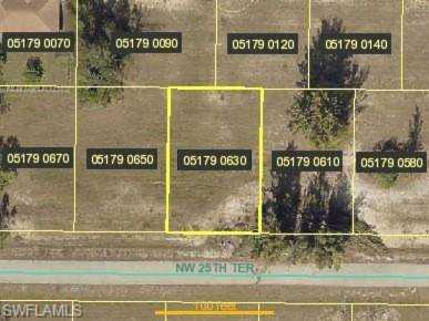 4223 NW 25th Ter Cape Coral, FL 33993 | MLS 219013037 Photo 1