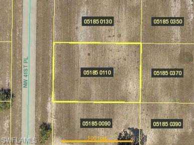 2807 NW 41St Pl Cape Coral, FL 33993 | MLS 219013044 Photo 1