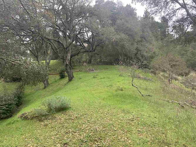 0 Camellia Lafayette, CA 94549