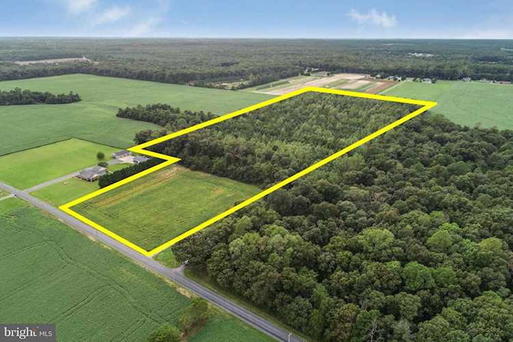 18062 Pettyjohn Rd Milton, DE 19968