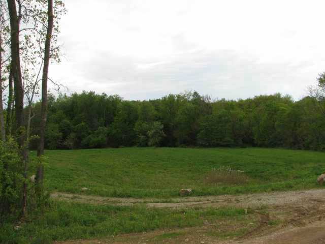 379 Buena Vista Drive Johnstown, OH 43031 | MLS 213002211 Photo 1