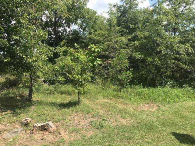 0002 Longberry Road Richwood, OH 43344 | MLS 218031286 Photo 1
