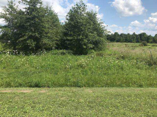 0 Longberry Road Richwood, OH 43344 | MLS 218031285 Photo 1
