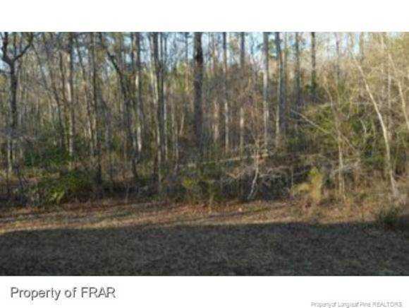 0 Dunrovin Ln Broadway, NC 27505 | MLS 533624 Photo 1