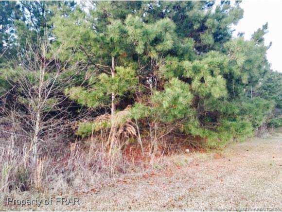 0 Bearskin Salemburg, NC 28385