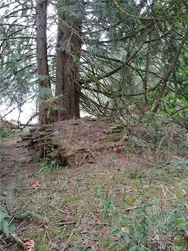 0 Winlock Vader Rd Winlock, WA 98956