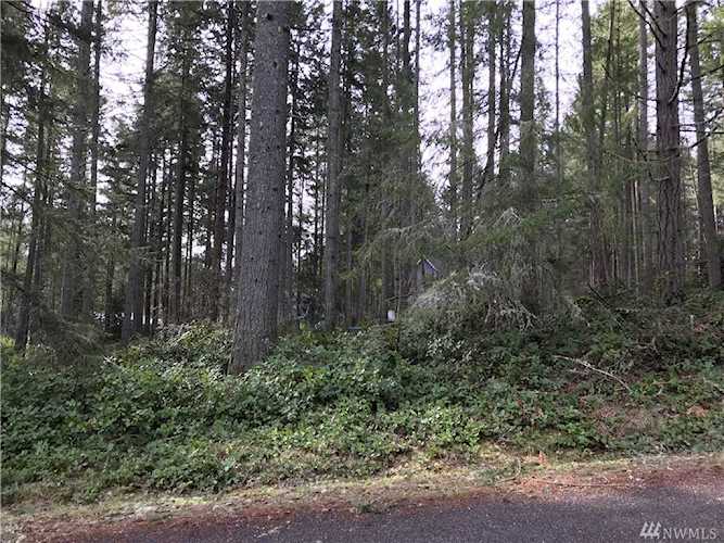 11116 Country Club Dr Anderson Island, WA 98303 | MLS ® 1422821 Photo 1