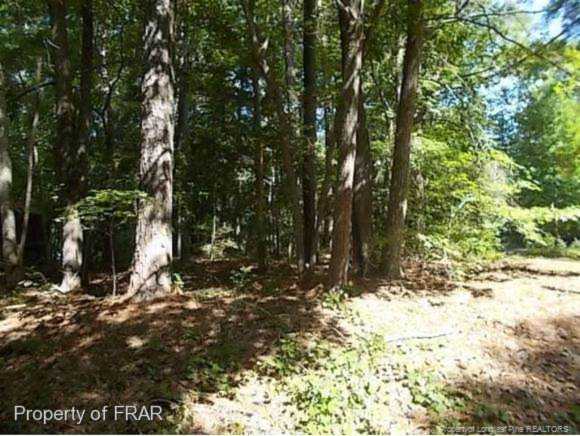 762 Turnbury Ct Sanford, NC 27332 | MLS 537272 Photo 1