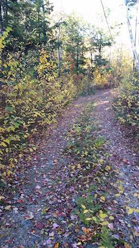 Teela Dr Sullivan, NH 03445