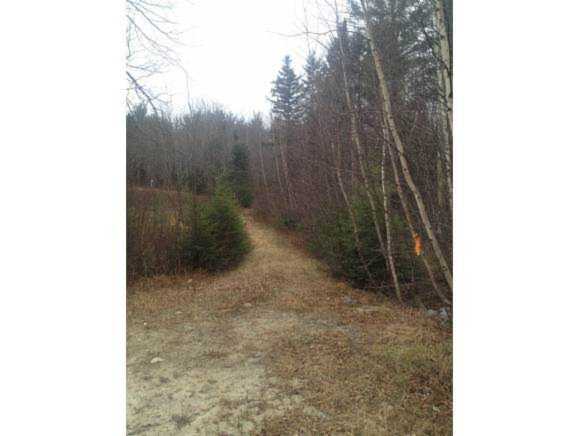 14 Katherine Ln Groton, NH 03241