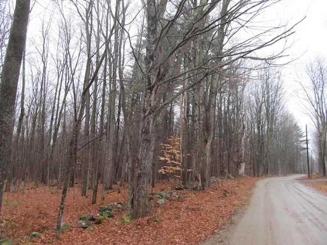 Gove Rd Acworth, NH 03601