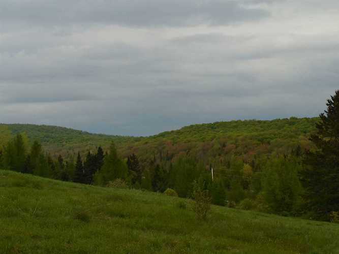 0000 Route 16 Hwy Wheelock, VT 05851