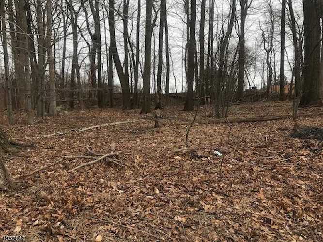 0 Espanong Rd Jefferson Twp., NJ 07849