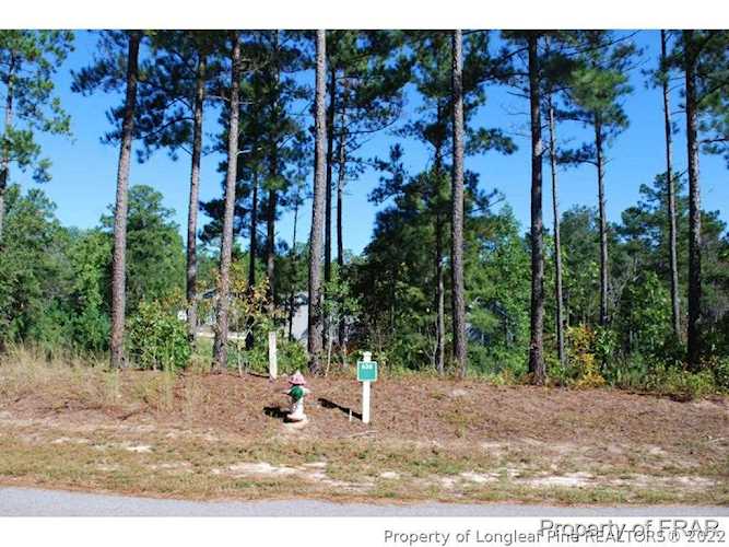 162 Broadlake (636) Ln Spring Lake, NC 28390