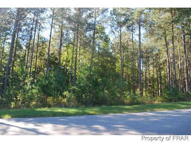 326 N Micahs (470) Way Spring Lake, NC 28390