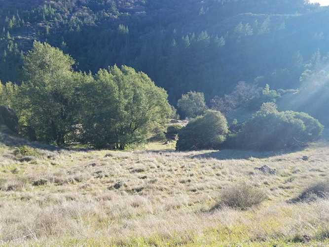 14939 Skaggs Springs Road Healdsburg, CA 95448